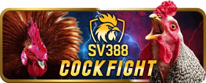 Cá cược bóng đá
